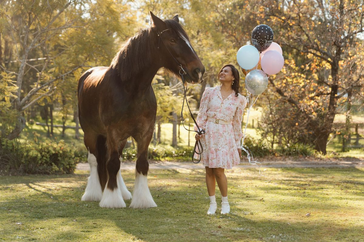 Woman in floral dress holds colorful balloons beside a large brown shire horse on green grass during a private portrait photoshoot in sydney