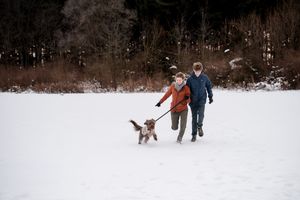 Two children walk a spaniel dog on a leash through a snowy winter landscape with bare trees in the background.