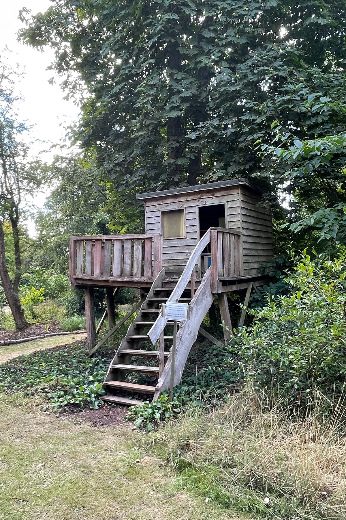 Rustic wooden treehouse with stairs and deck surrounded by lush green trees in a garden setting at Green Island Gardens.