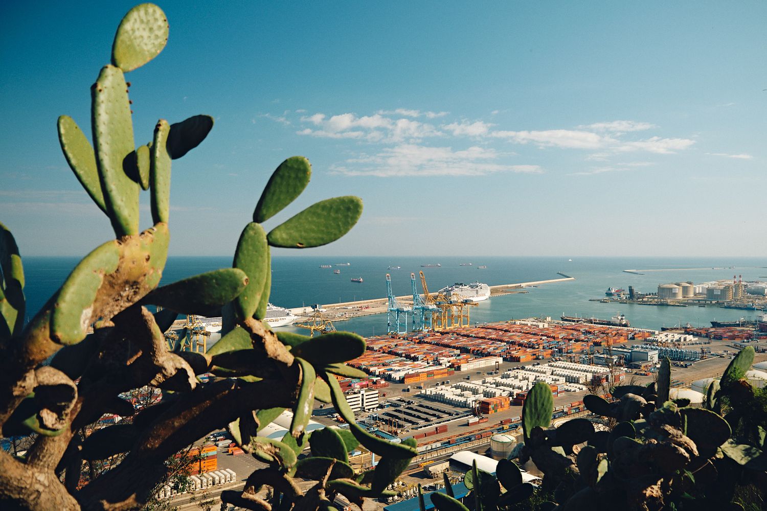 Aerial view of a busy shipping port with colorful cargo containers, cranes, and ocean horizon framed by a prickly pear cactus.