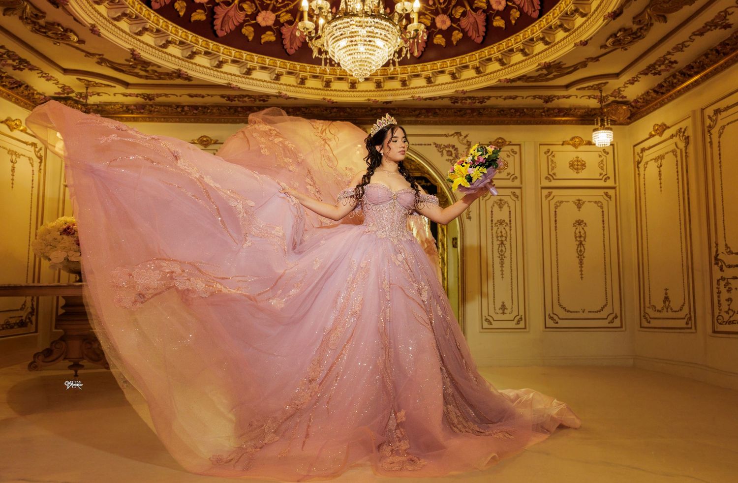Quinceañeras, Weddings, corporate events, family Photography ande video. Dallas TX 469-386-2555 Bilingual (Spanish & English)