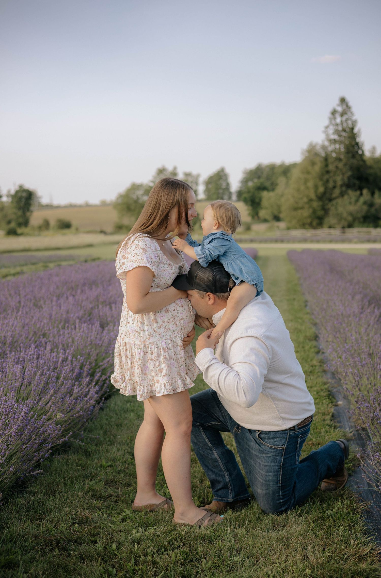 A family poses in a lavender field, with a pregnant woman, kneeling man kissing her belly, and toddler in a denim shirt.