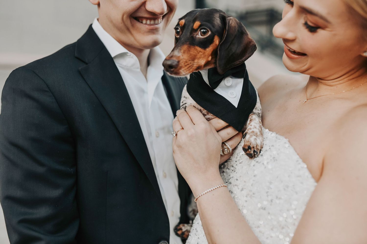 bride and groom with their puppy at their wedding in dallas