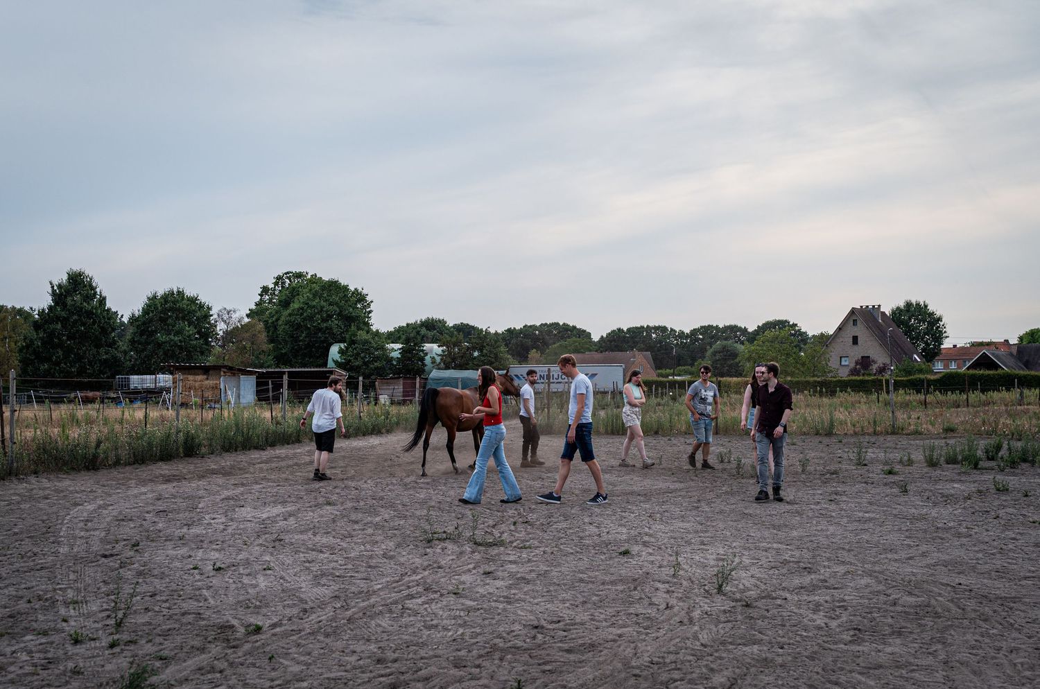 Teambuilding met paarden in Sint-Katelijne-Waver/ Gierle  waarbij deelnemers samenwerken met een paard.