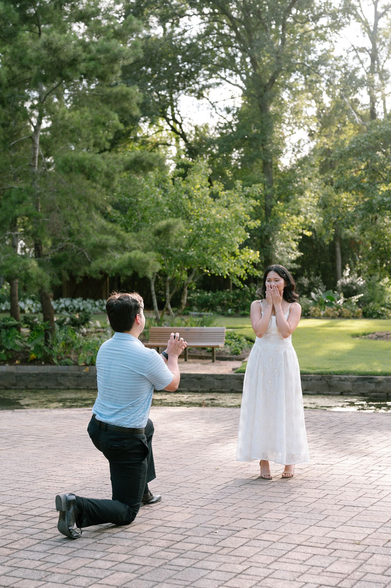 Man proposes on one knee to woman in white dress at Mercer Arboretum in Spring, Texas