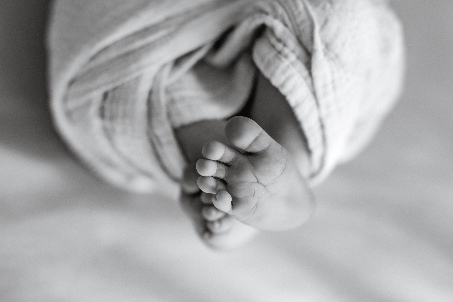 Black and white close-up of a newborn baby's tiny toes peeking out from a soft muslin swaddle wrap.