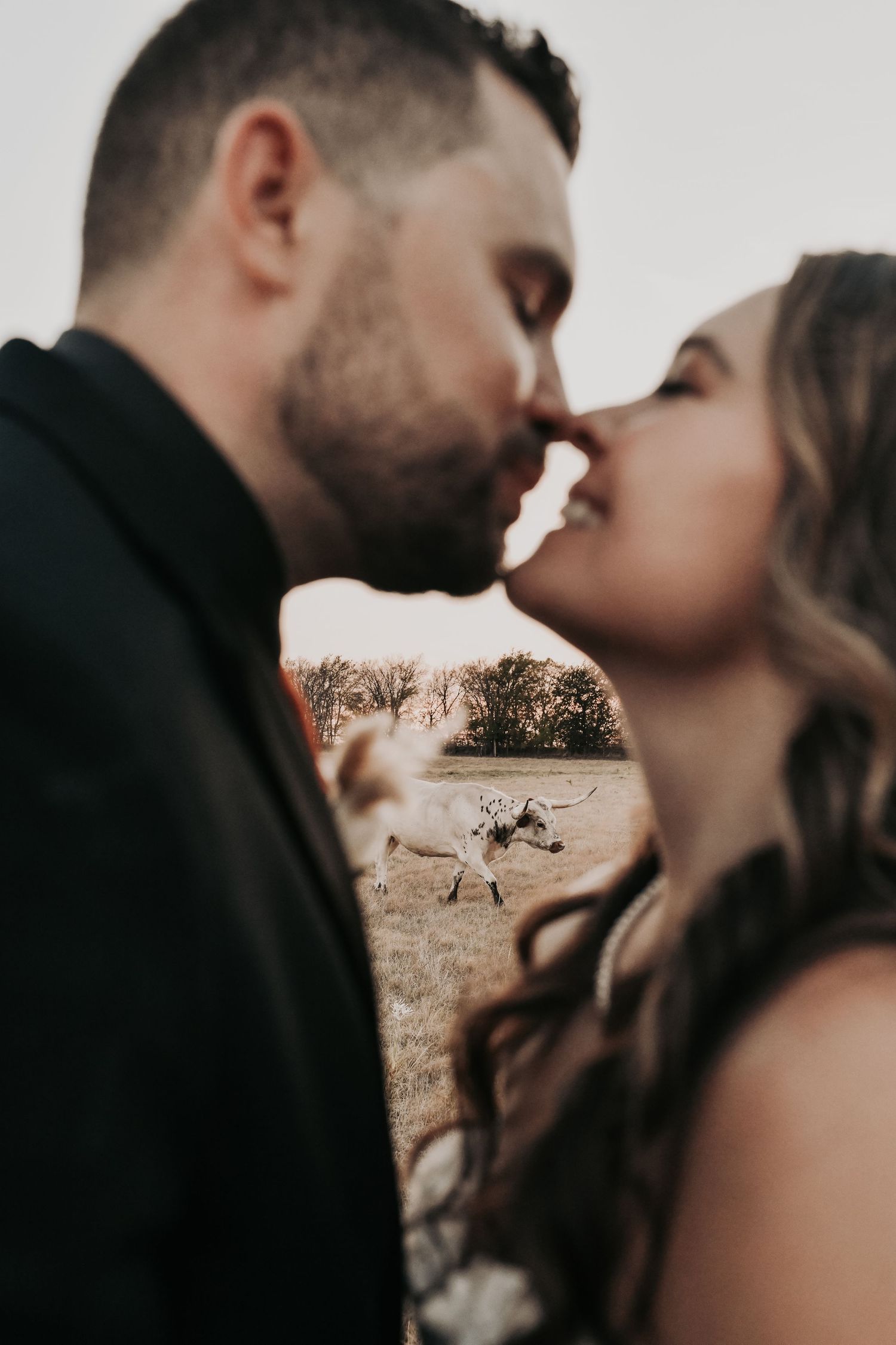 Newlyweds posing near Texas longhorns during their ranch wedding