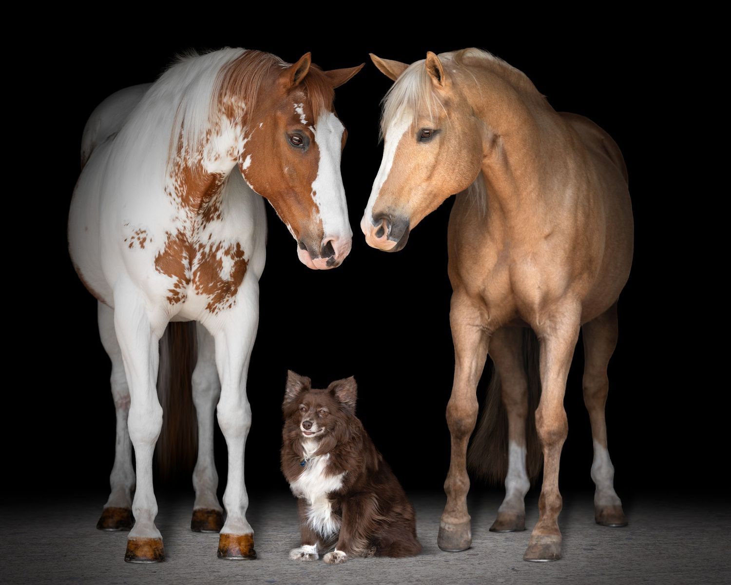 A gallery wall of brown and white paint horse canvas prints displayed above a leather sofa in a modern living room.