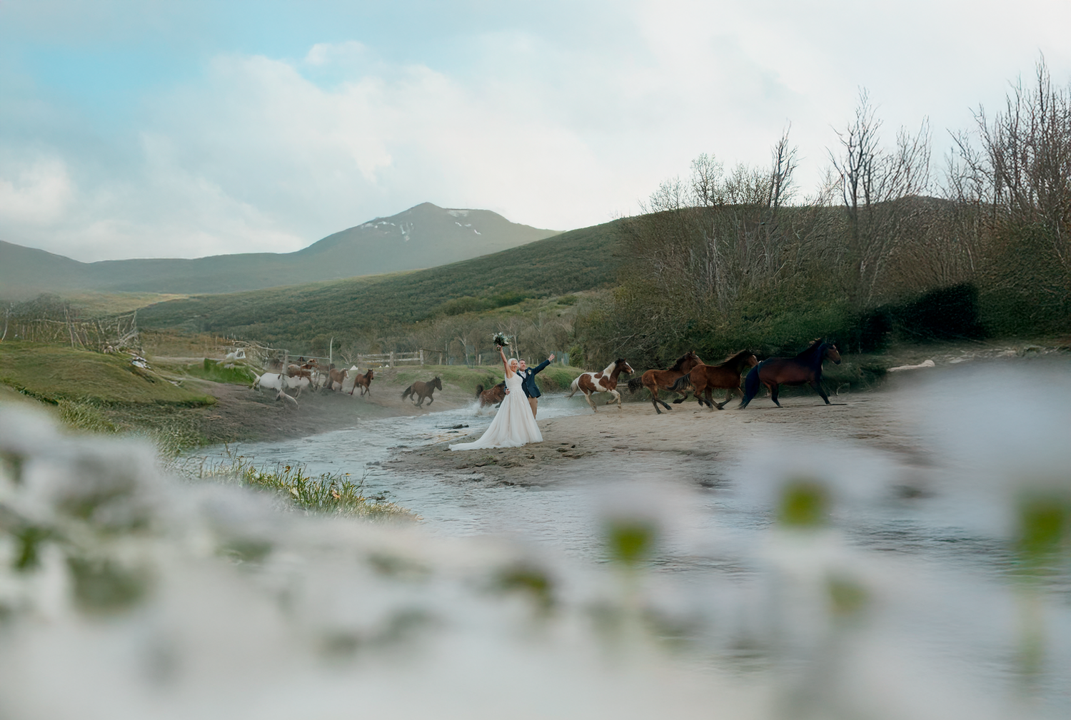 Bride in white gown poses by a river with a herd of horses running through a scenic green valley with mountains.