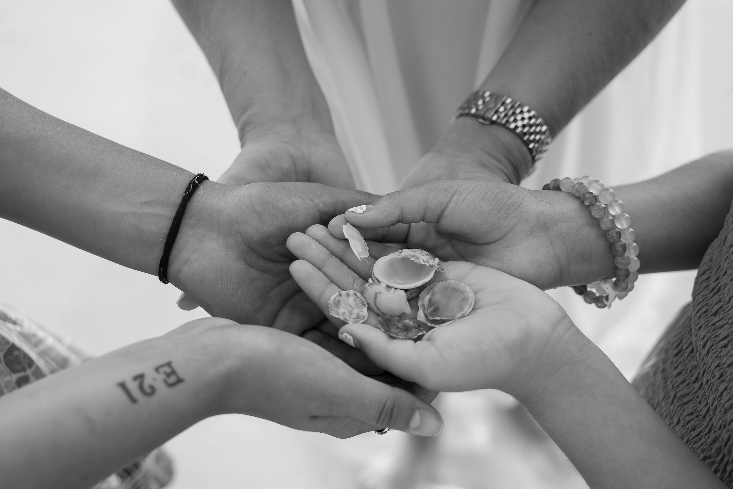 Black and white photo of multiple hands joined together holding small seashells, symbolizing unity and togetherness.