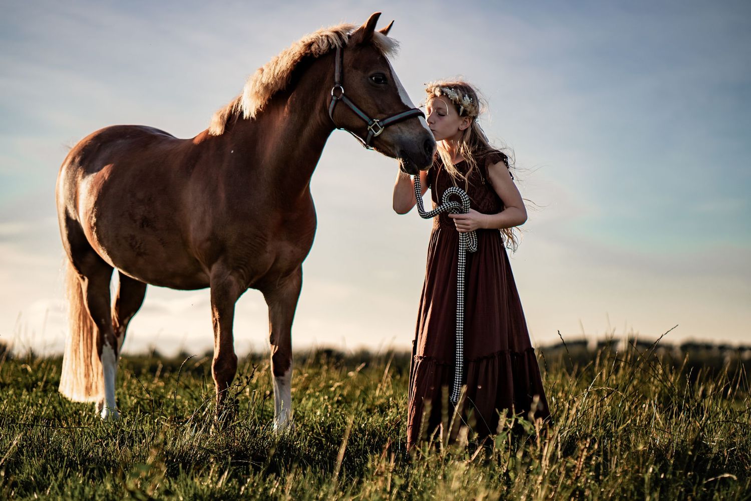 Brown horse and figure in burgundy dress connect in golden evening light.