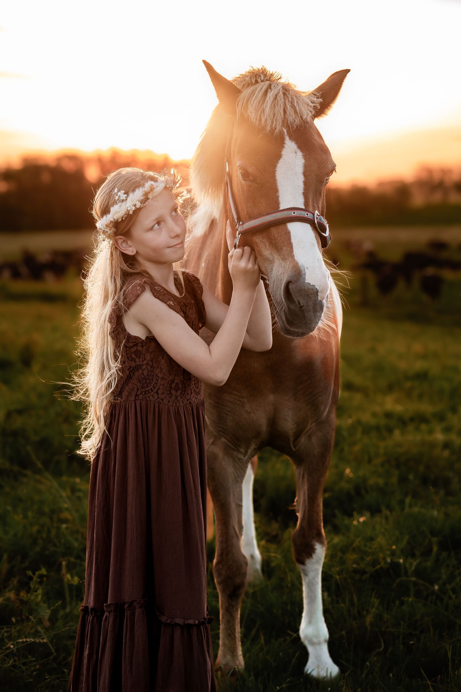 Gentle moment between a horse and young person in brown dress at sunset.