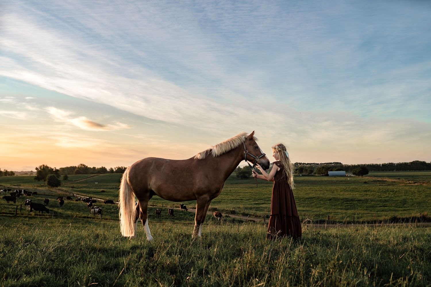 Horse and figure share a peaceful moment in a sunset-lit pasture.