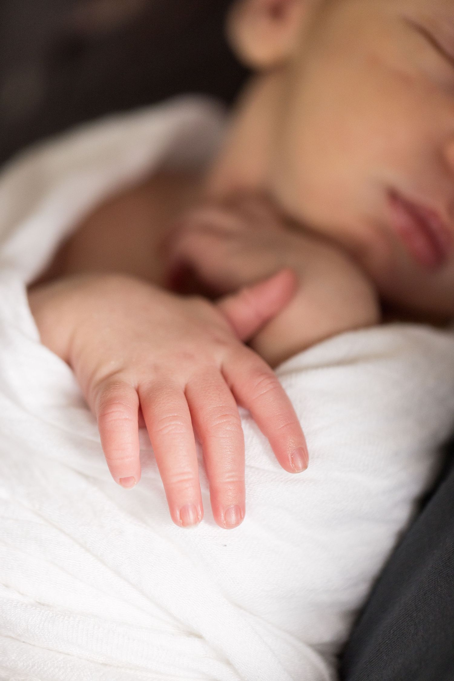 A close-up view of a newborn baby's hands resting on a soft white blanket.