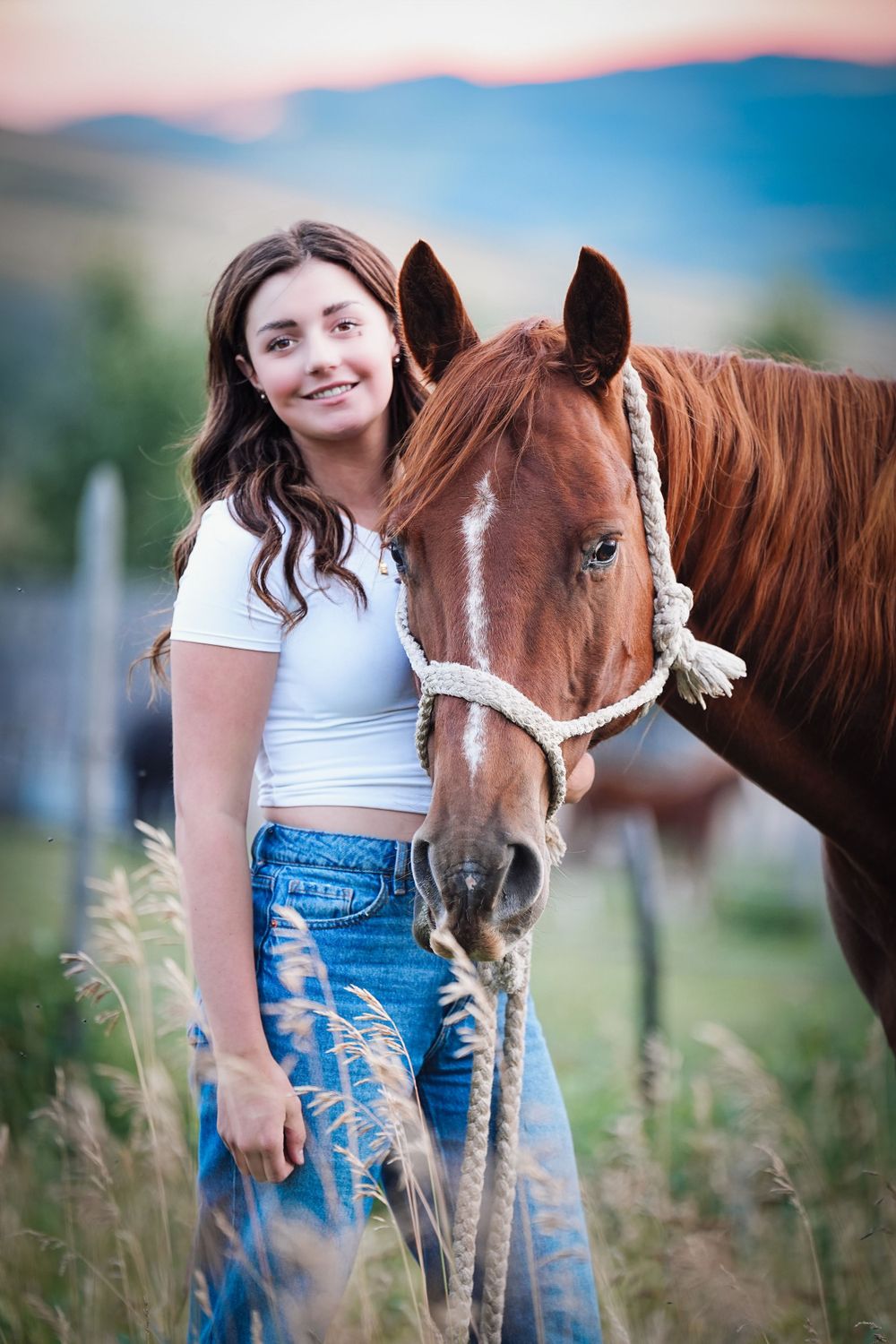 Brown horse with white blaze wearing rope halter stands in field during sunset.