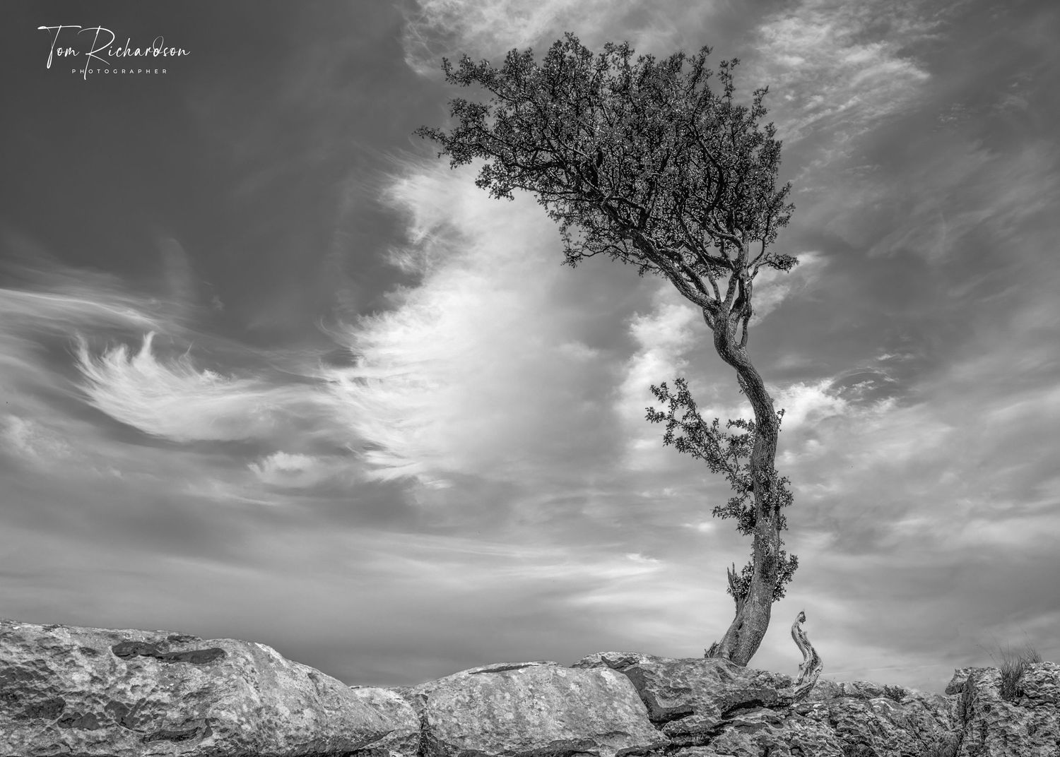 The Survivor, Twistleton Scar