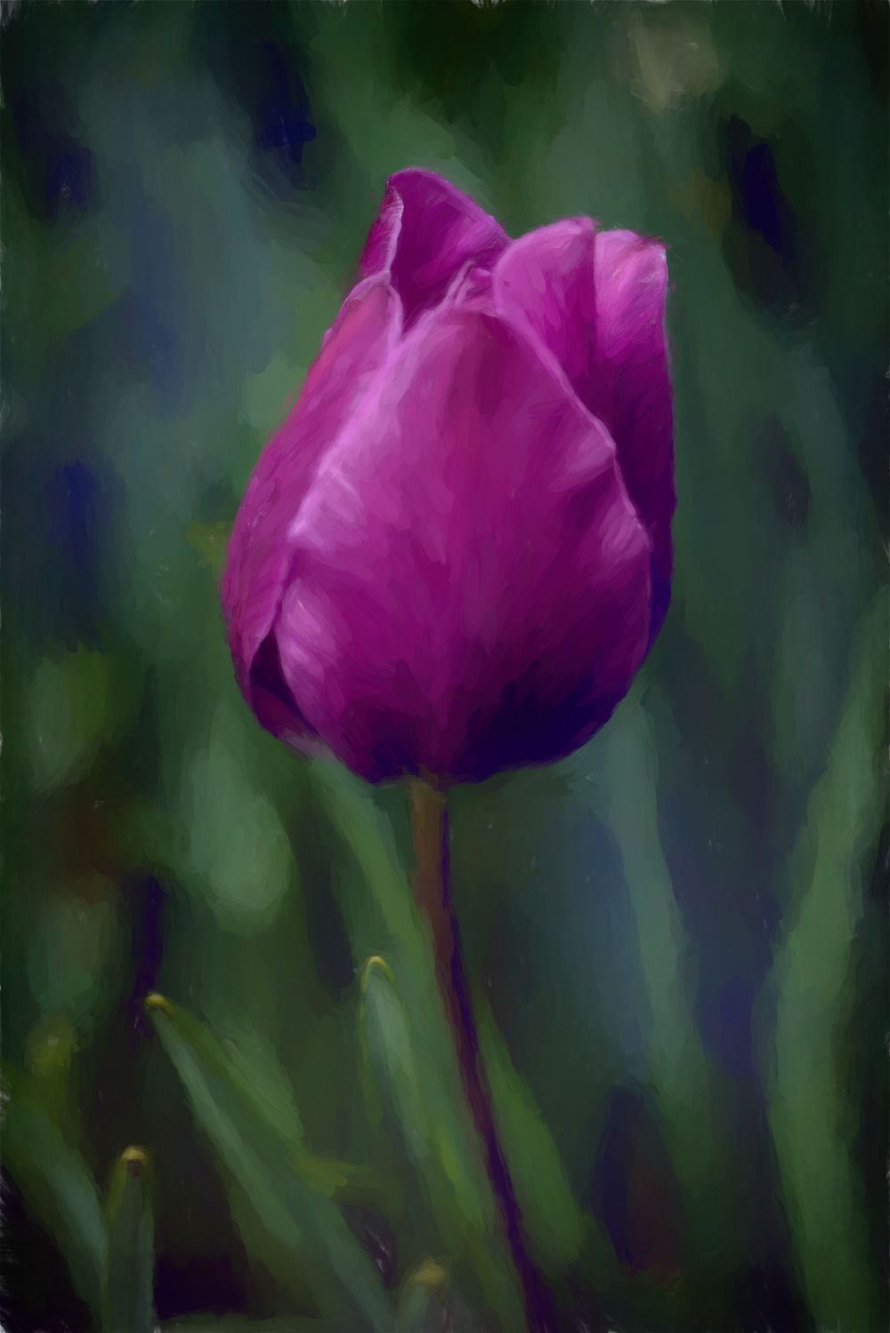 A vibrant purple tulip flower in full bloom against a soft blurred natural background of greens and blues.