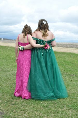 Two formal dresses in pink and emerald green shown from behind on a grassy field.
