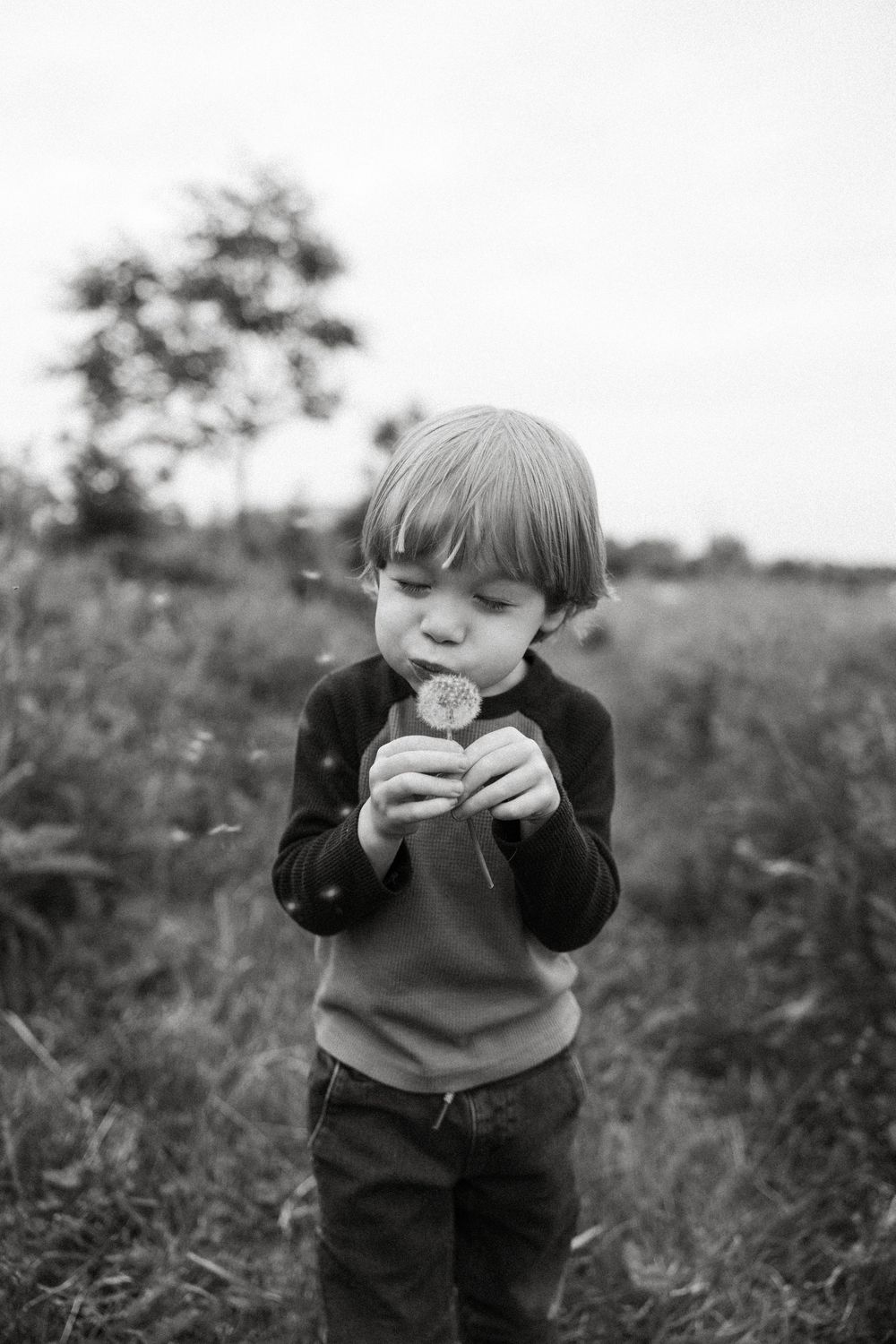 Black and white portrait of a small child blowing on a dandelion flower in a grassy field.