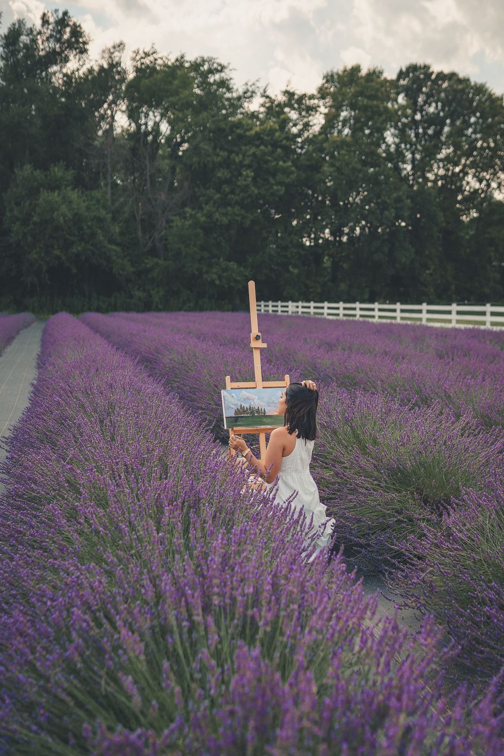 Painting on a lavender field