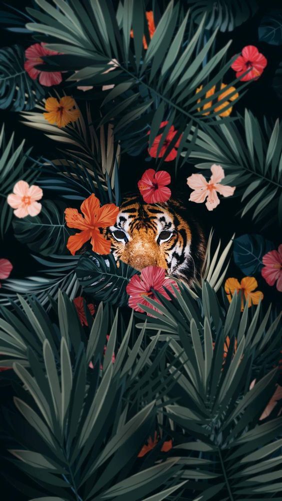 Artistic illustration of a tiger hidden among tropical leaves and hibiscus flowers.