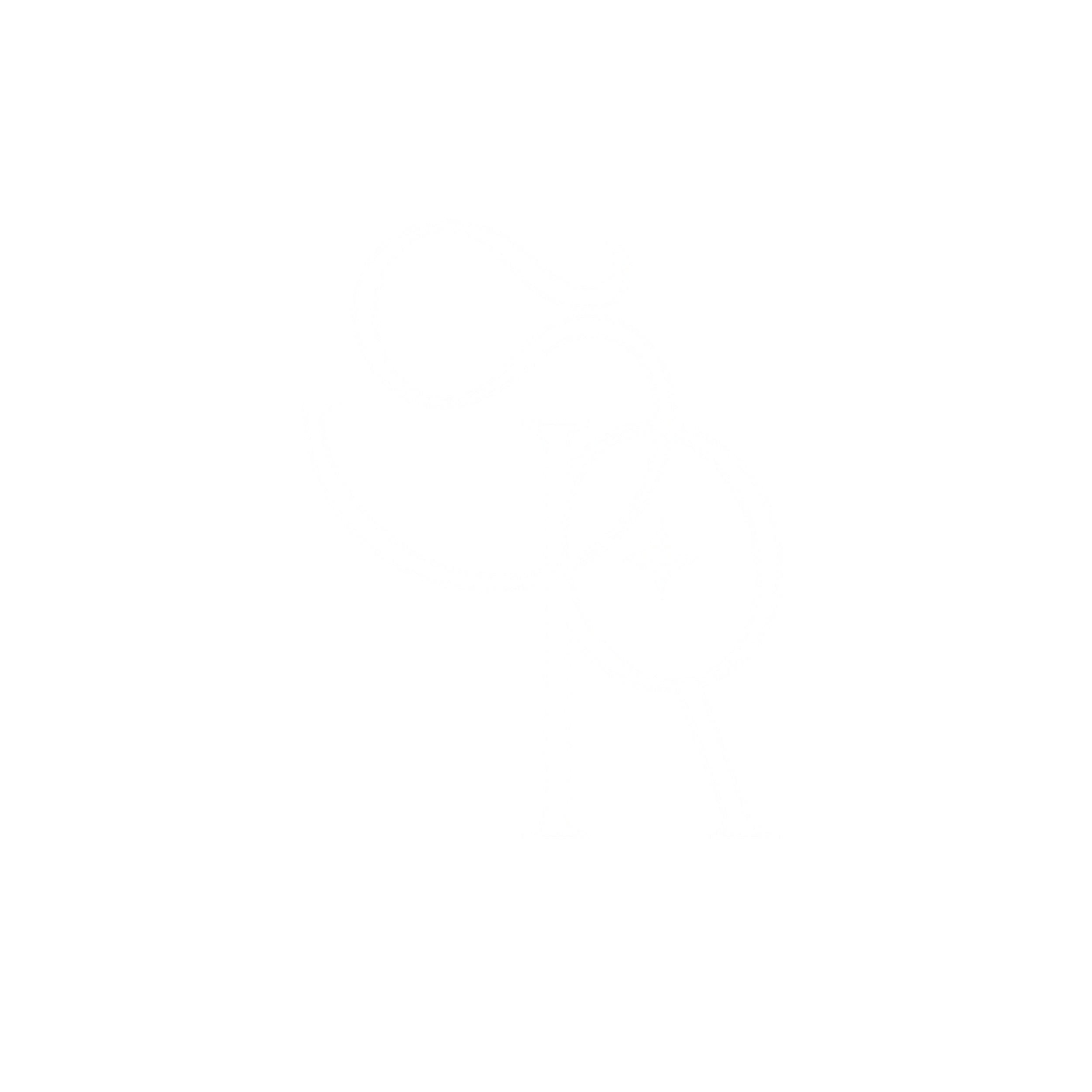 Sydney Romero Visual Storytelling logo, La Grange TX photographer specializing in cinematic, storytelling photography