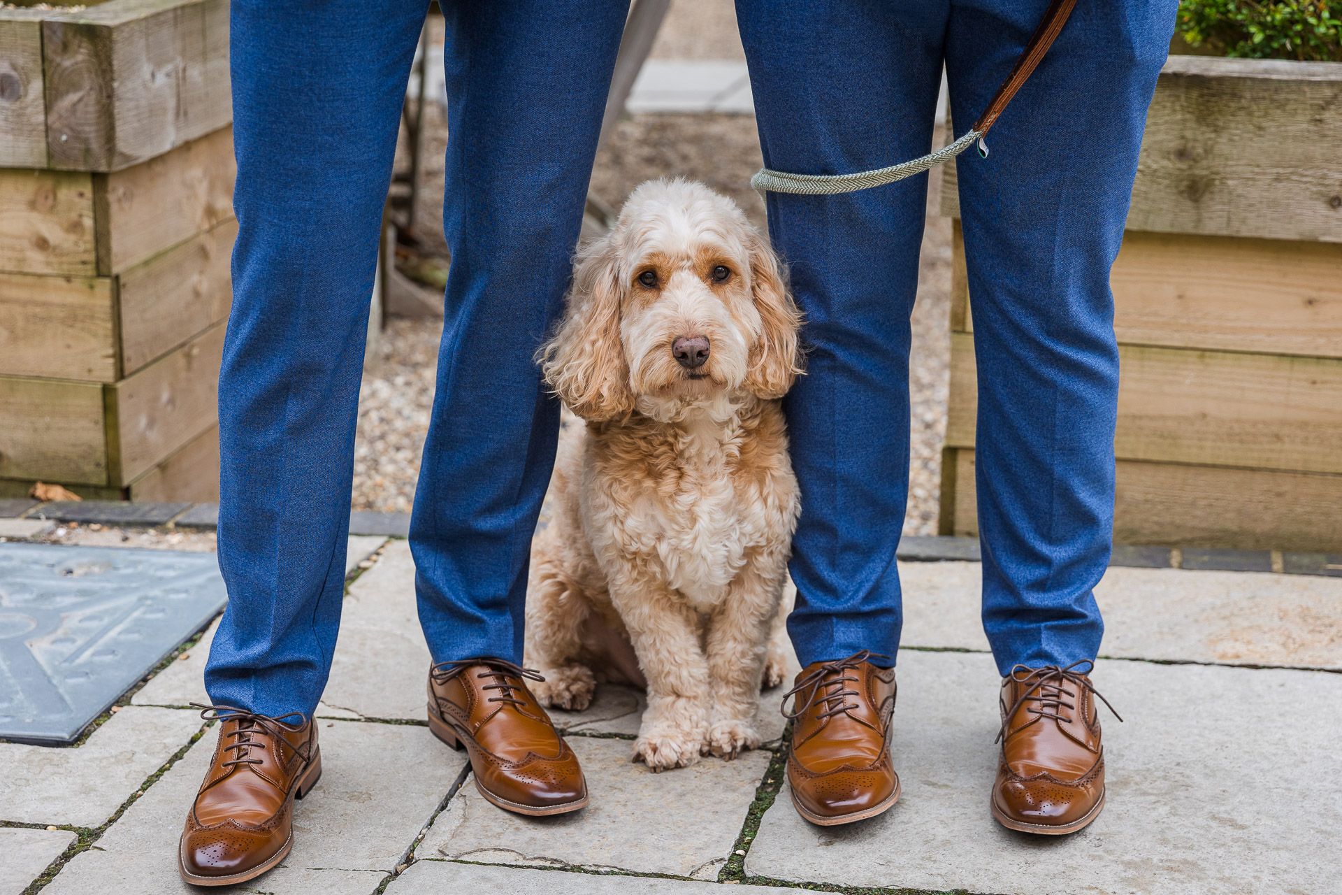 A small apricot-colored Cockapoo dog sits obediently at the groomsmen's feet on a stone patio at Lapstone Barn.
