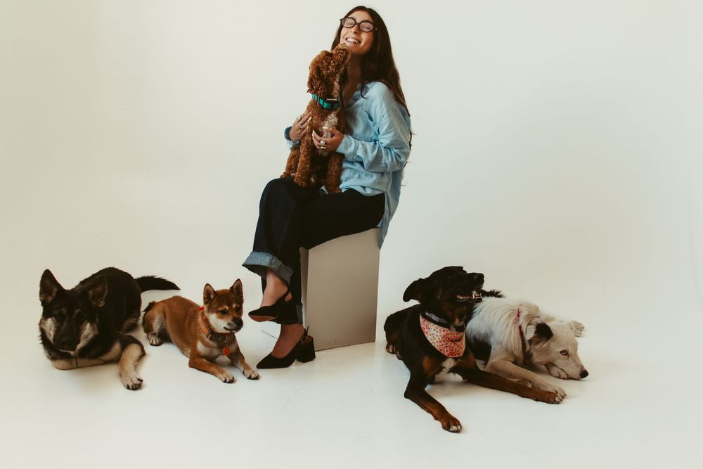 Woman sitting on stool holding small dog surrounded by four dogs on white background.