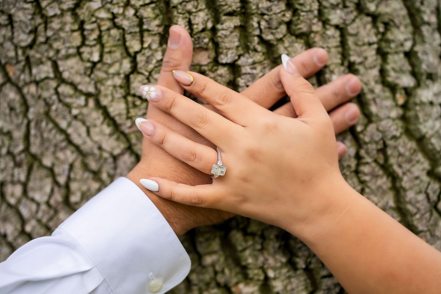 Two hands clasped together against a tree bark background, with a diamond engagement ring on the woman's finger.