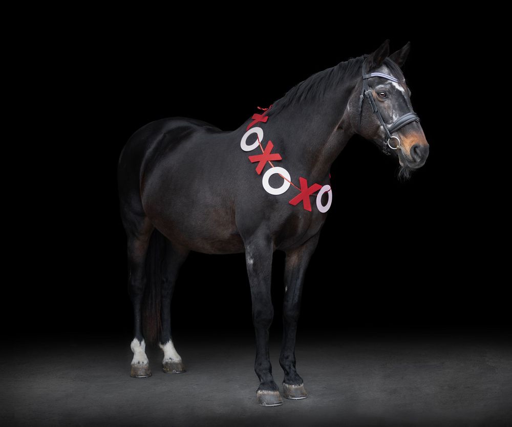 Horse and rider performing dramatic dressage movements against a dark background in artistic lighting.