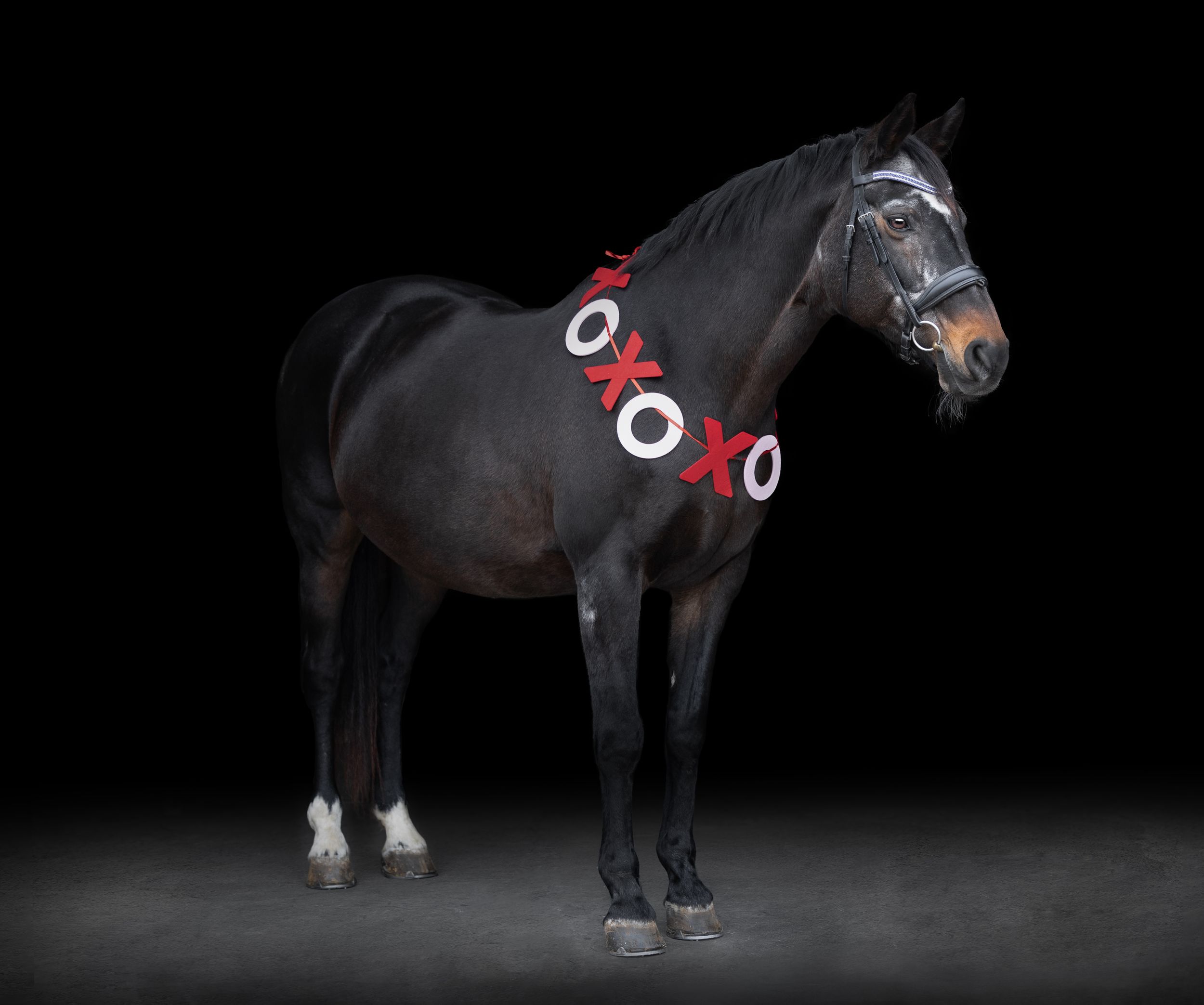 Horse and rider performing dramatic dressage movements against a dark background in artistic lighting.