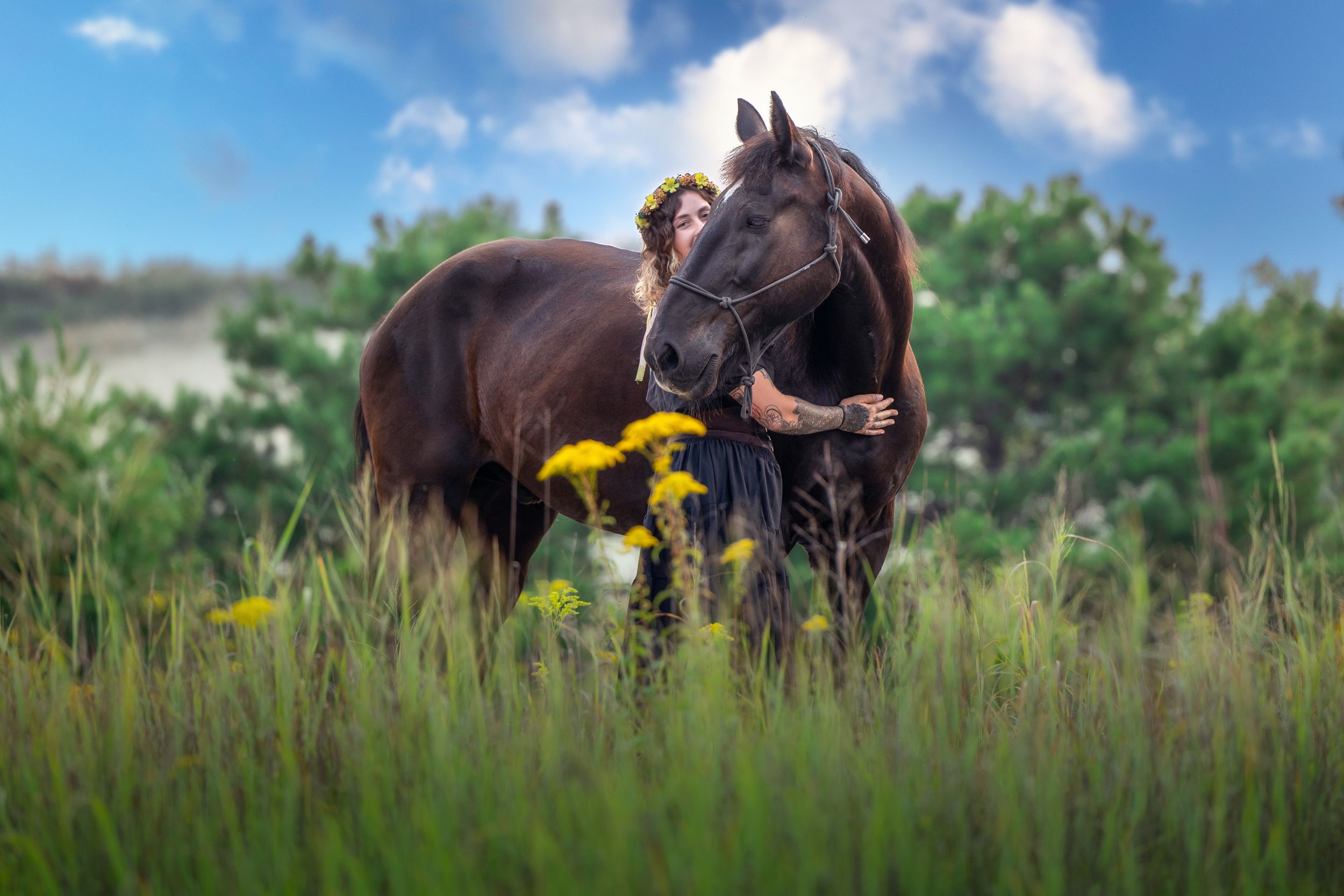 Two dark brown horses graze together in a lush green summer meadow with tall grass and wildflowers.