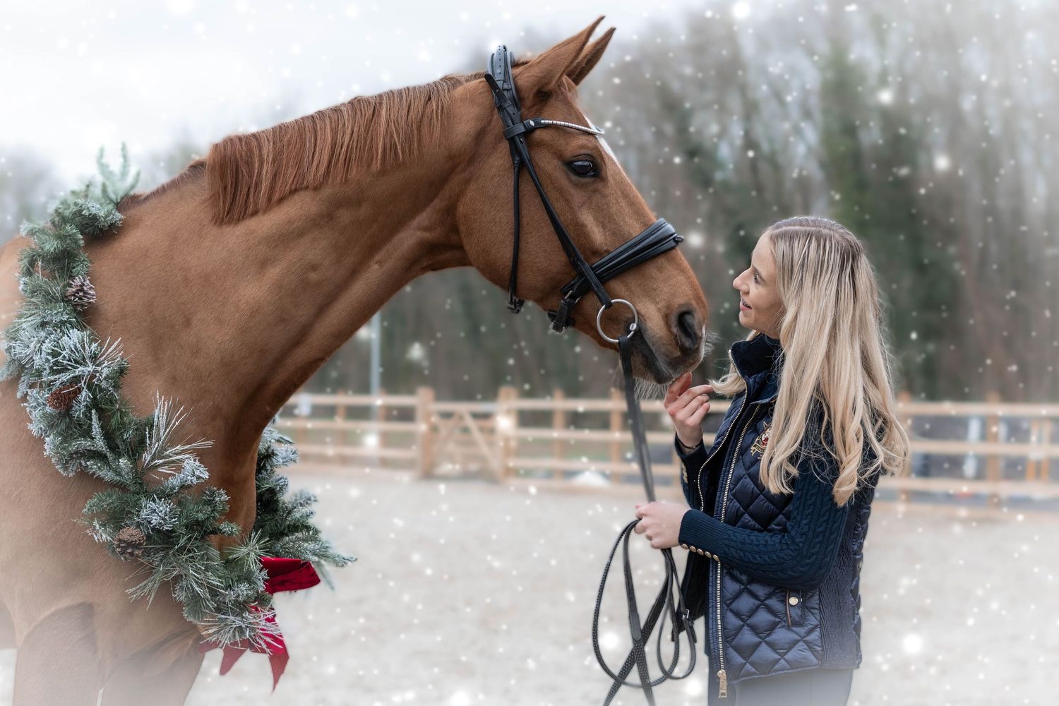 Brown horse wearing festive winter greenery during outdoor photo session.
