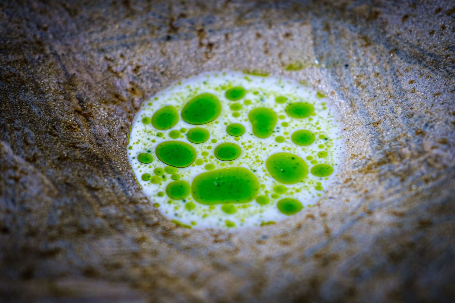 Close-up of a rich, broth with a herb oil and spices, captured in warm light with a softly blurred background for depth.