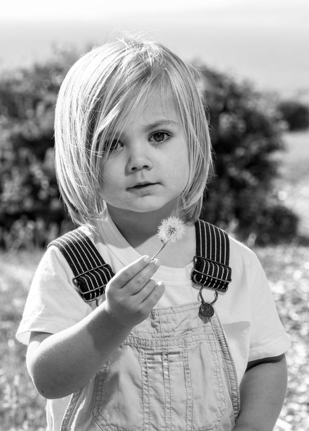 Black and white portrait of a young child holding a dandelion.
