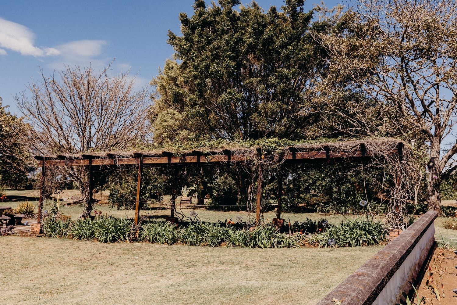A rustic wooden pergola surrounded by lush trees and manicured gardens under a clear blue sky.
