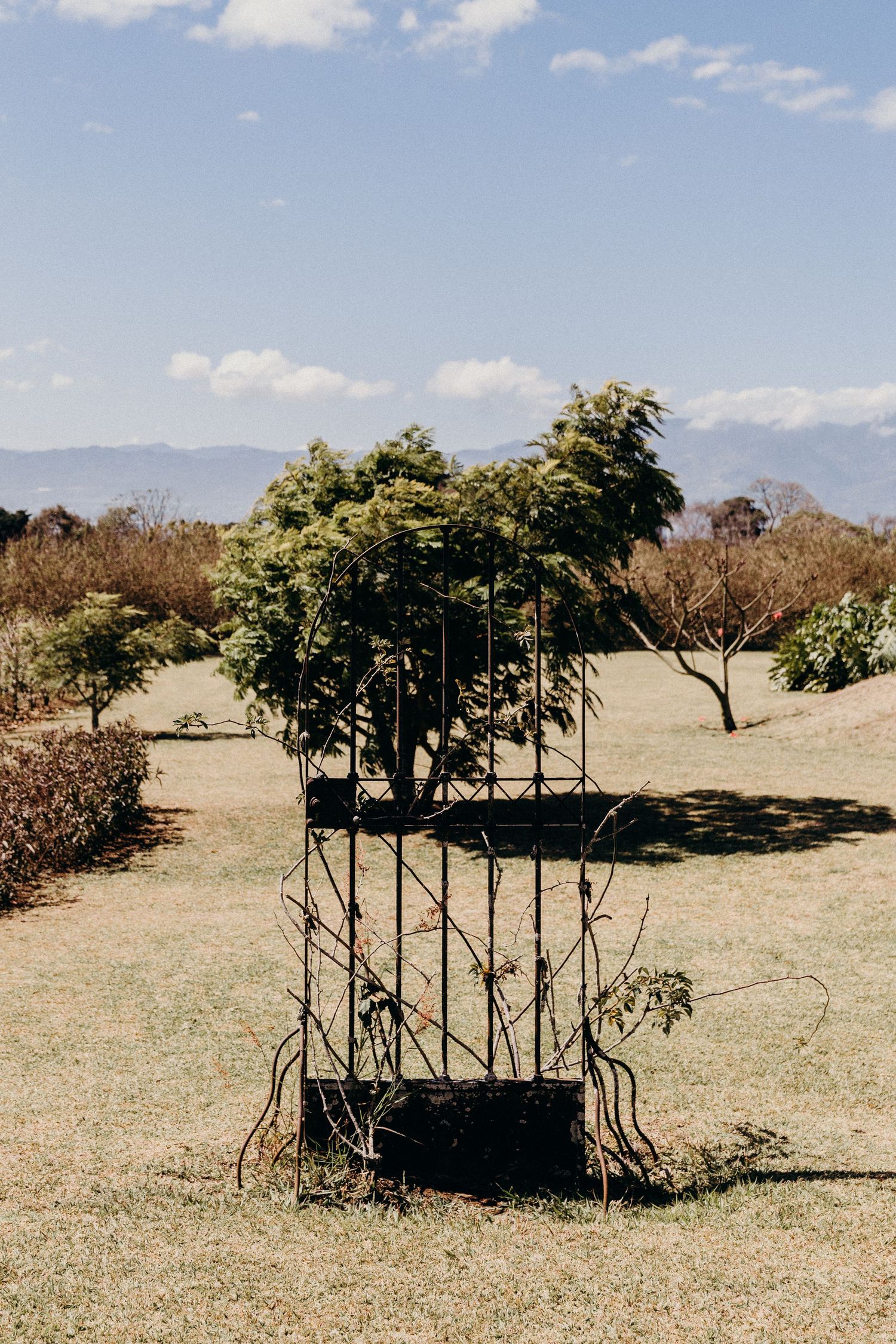 A rustic metal trellis with climbing plants stands in a dry grassy garden with trees and mountains in the background.