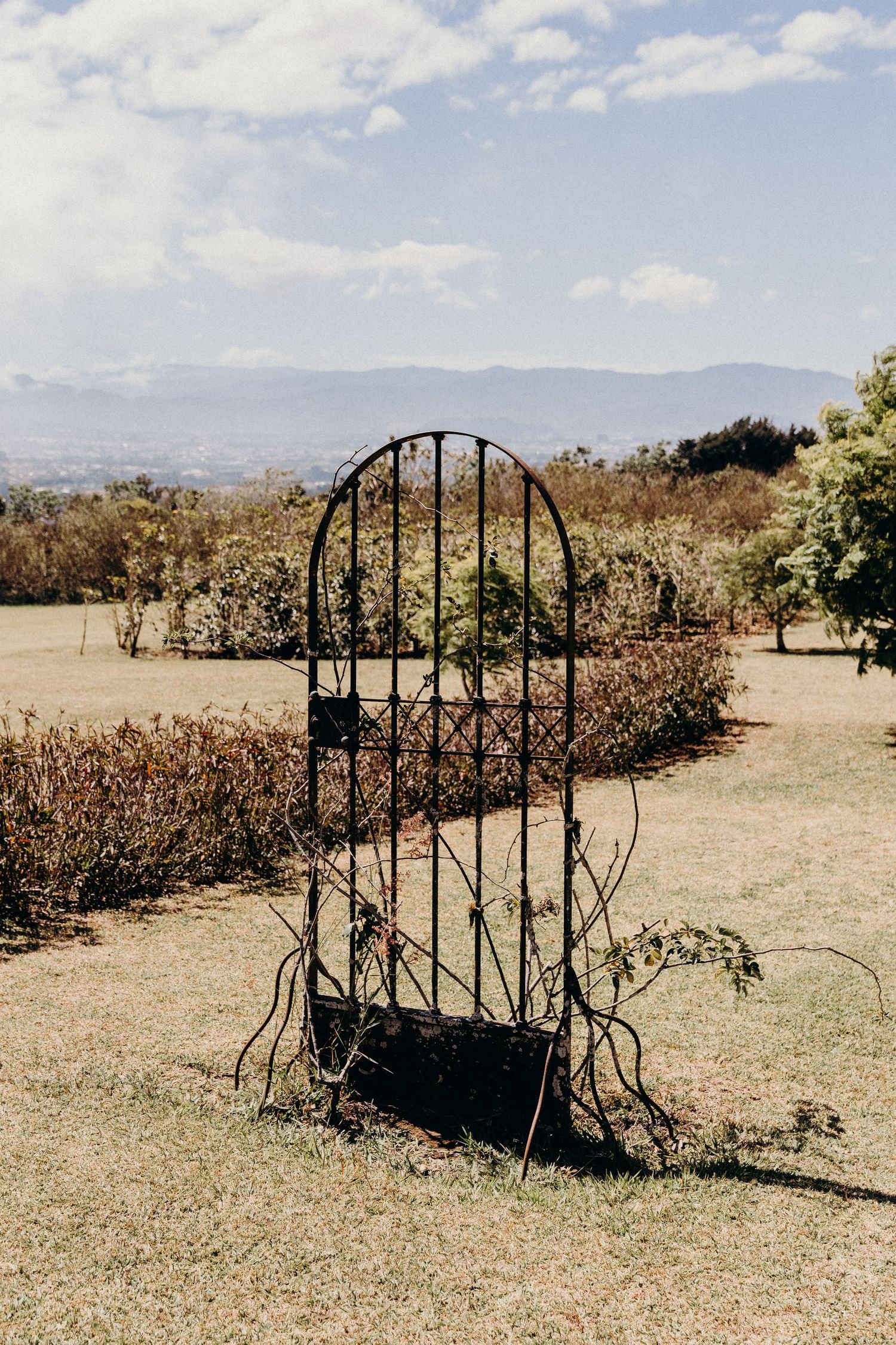 A rustic black wrought iron garden gate stands alone in an open grassy field with shrubs and mountains in the background.