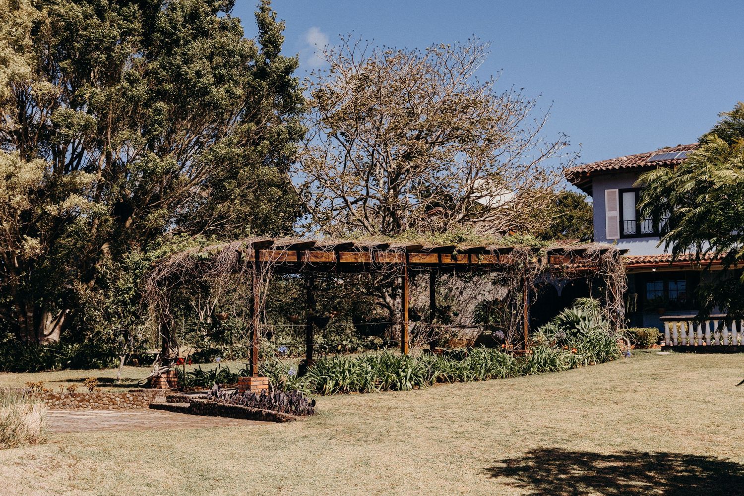 A rustic wooden pergola covered in vines stands in a lush garden beside a historic house under a clear blue sky.