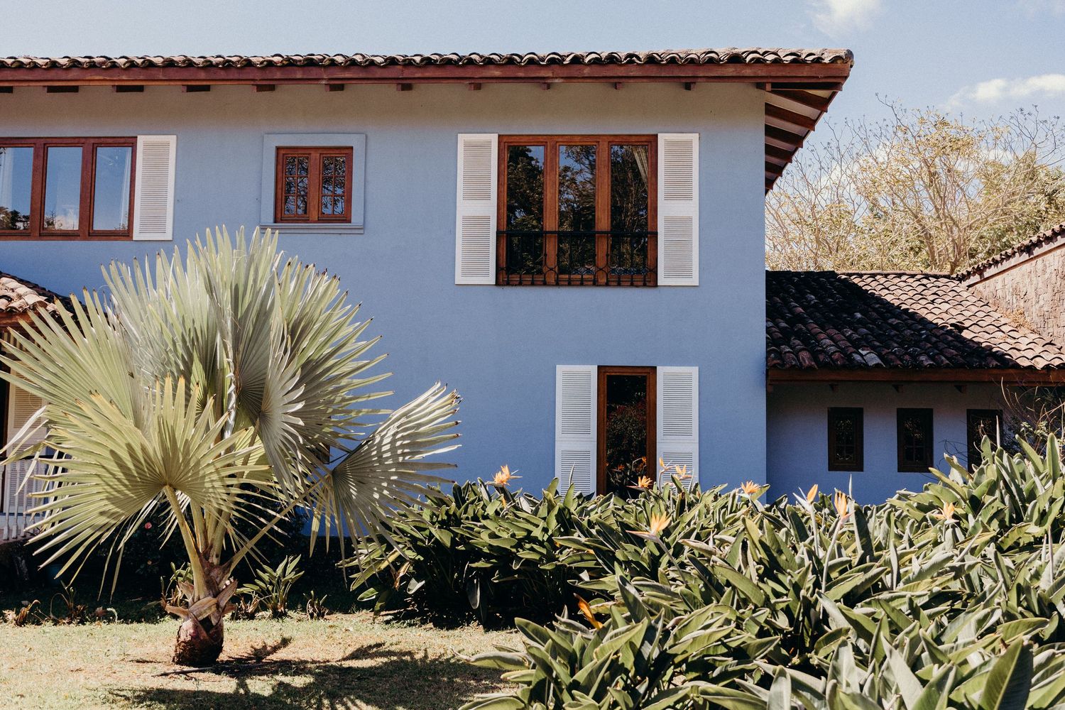 Blue colonial house with white shutters, terracotta roof, and lush tropical plants including palm trees in foreground.