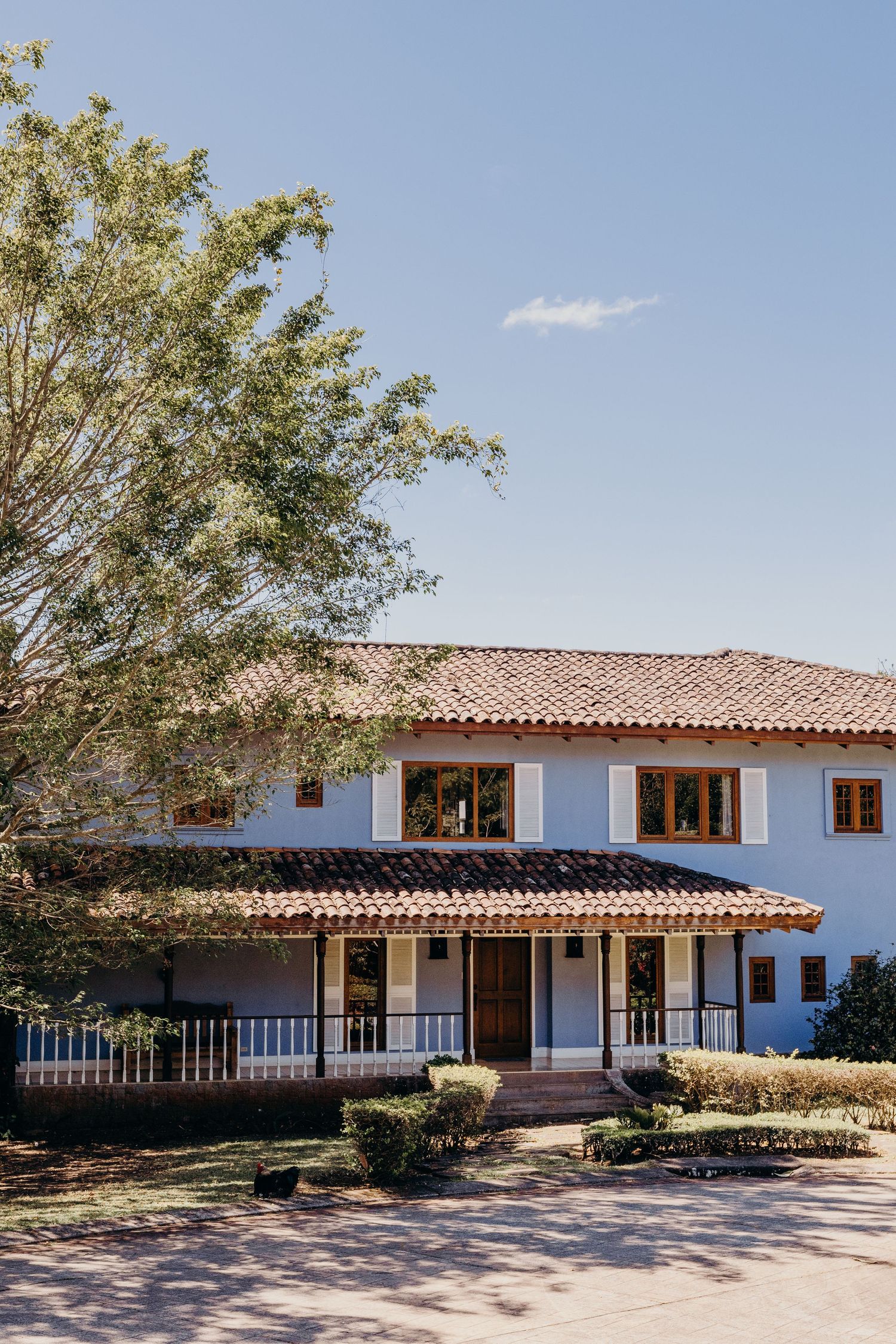 White colonial-style two-story house with red tile roof, wooden windows, and covered porch surrounded by lush trees.