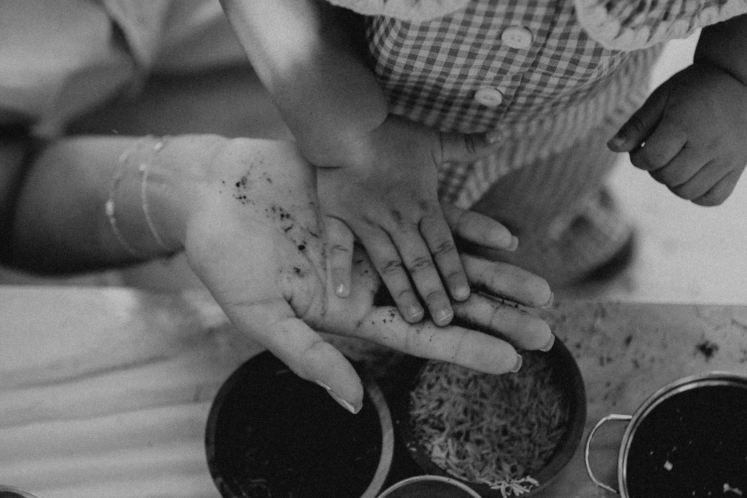Adult and child hands together over bowls of soil, planting seeds in a black and white photo.