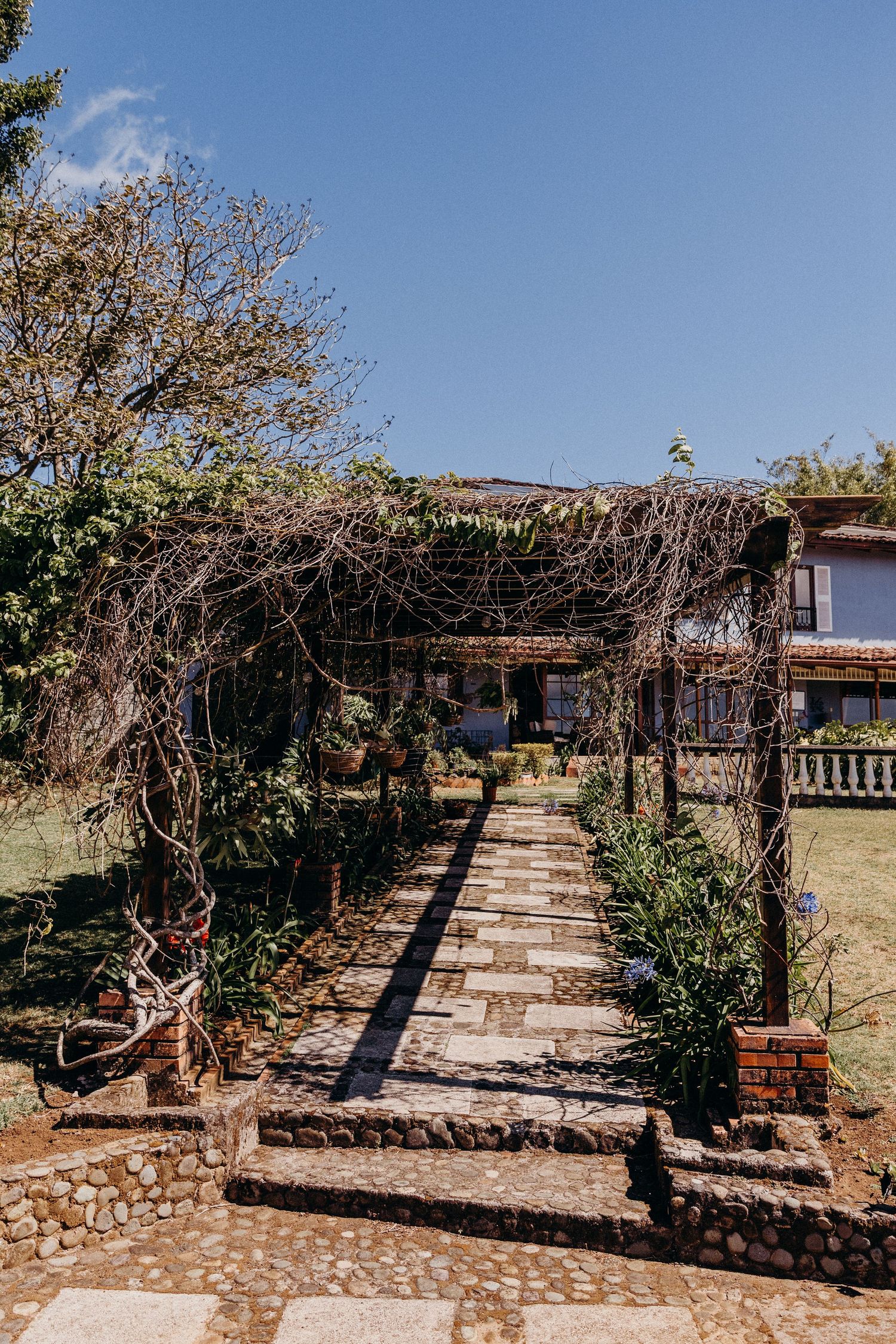 Stone pathway leads through a vine-covered pergola to a rustic house surrounded by lush gardens under a clear blue sky.