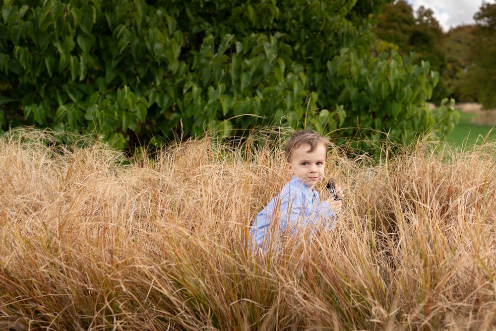 A child peeks through tall golden grass in a sunny summer field in the botanical gardens, Cambridge