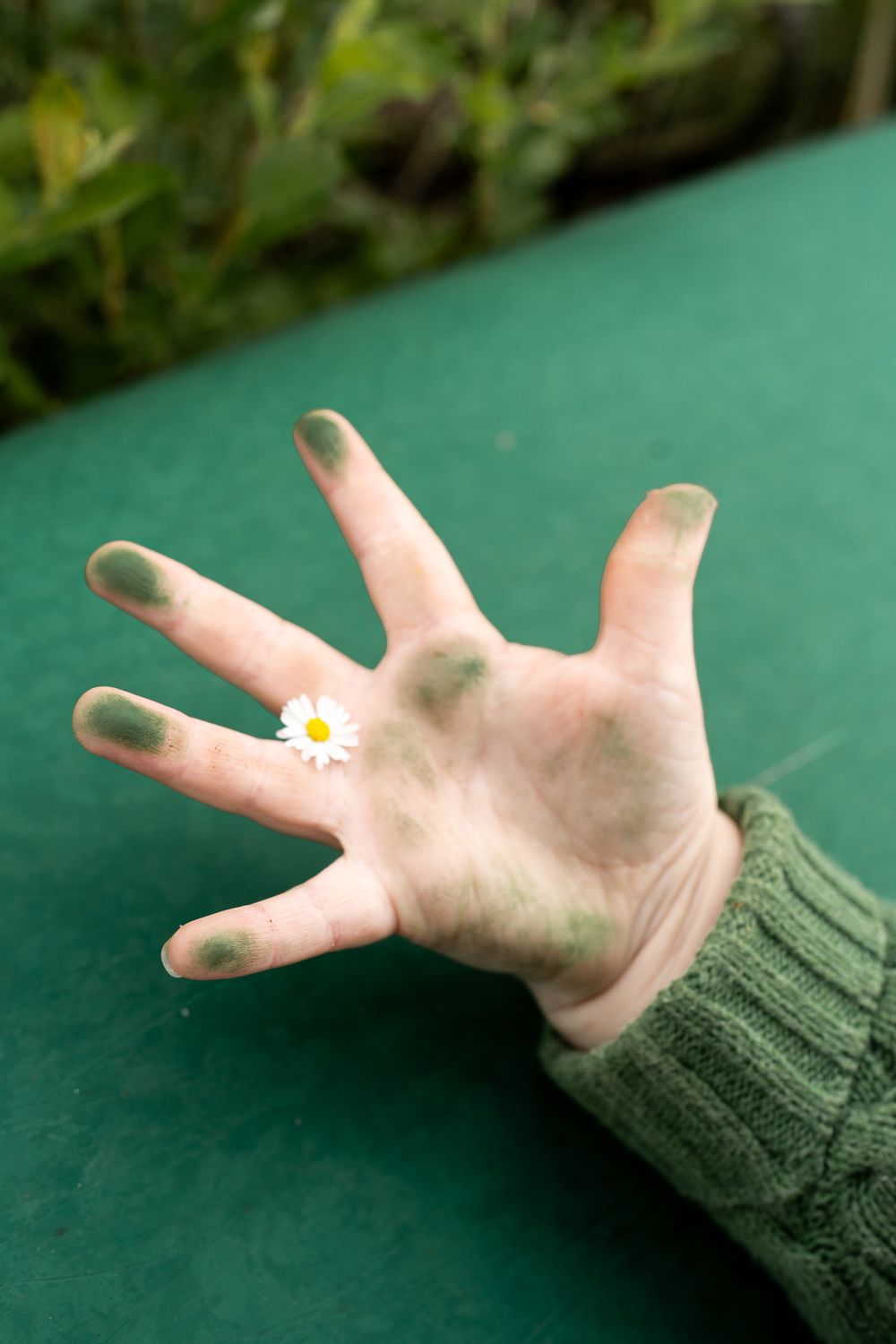 A child's hand in a green sweater sleeve gently holds a small white daisy flower against a dark green background.