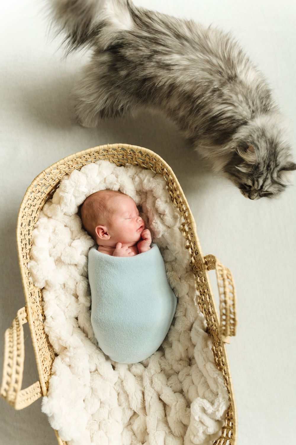 A sleeping newborn swaddled in blue rests in a woven basket with fluffy padding as a gray cat curiously peers over.