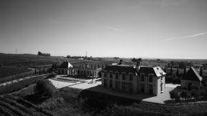 Aerial view of a grand estate with vineyard rows stretching into the distance.