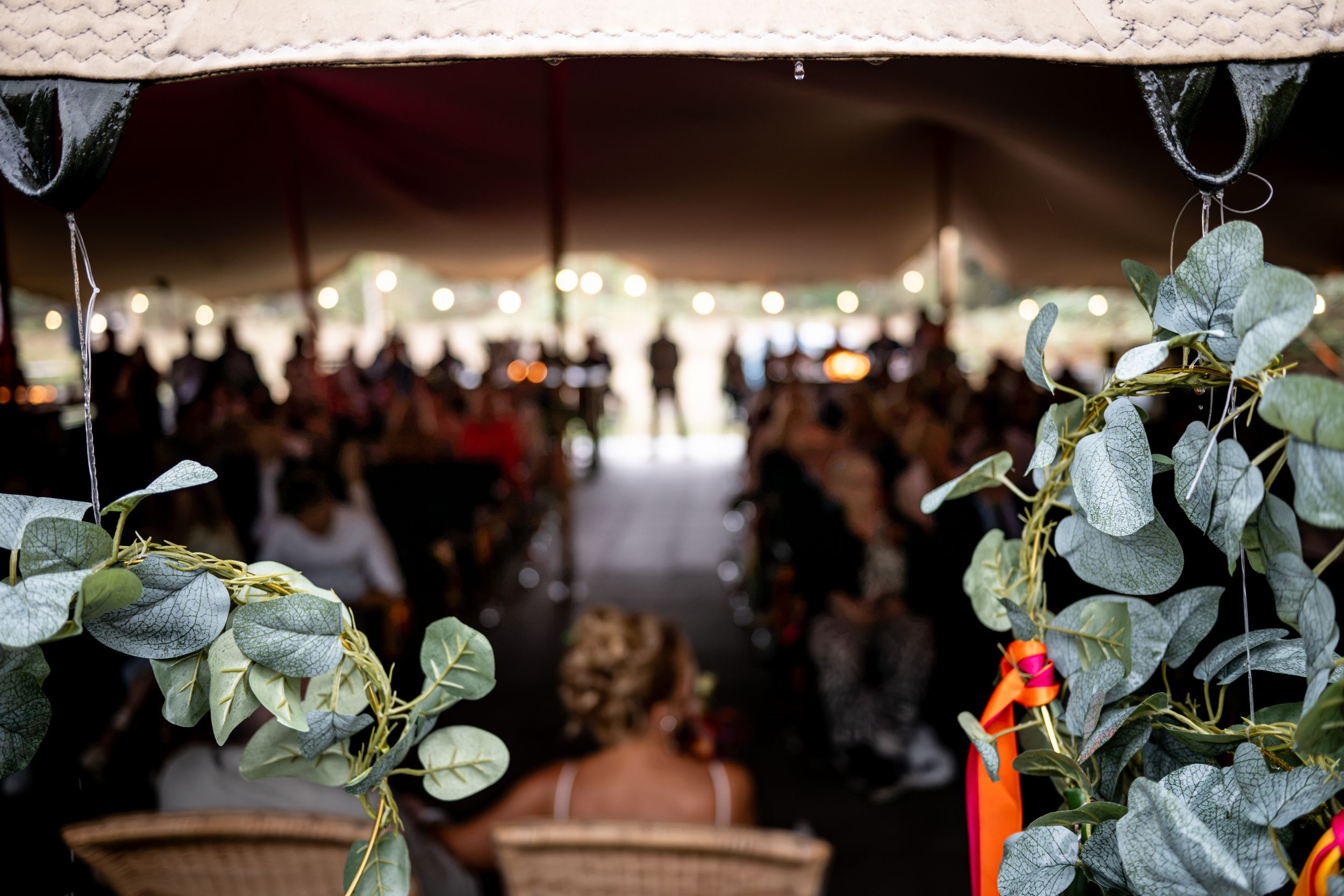 View through hanging eucalyptus leaves into a crowded wedding tent ceremony with soft lighting.