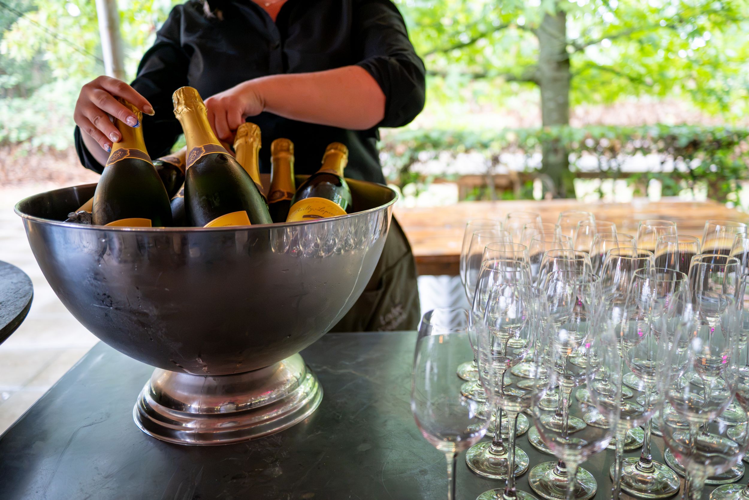 Person placing champagne bottles in silver ice bucket beside rows of wine glasses at outdoor event.