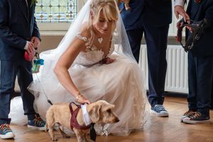 Wedding scene with flowing white dress and formal attire in a bright indoor setting.